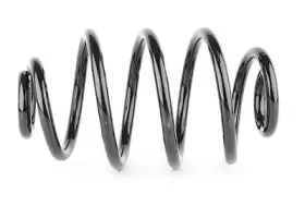 BSG 65-305-010 BSG Пружина ходовой части